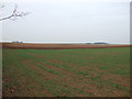 Farmland near Cranwell