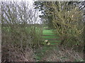 Footpath towards North Rauceby