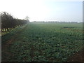 Farmland off South Heath Lane