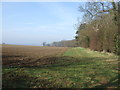 Farmland beside Reservoir Plantation