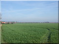 Farmland near Wellingore 