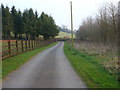 Tree-lined drive from Cefn Gola