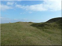TQ4408 : Earthworks on the north side of Mount Caburn by Dave Spicer