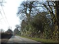 Road passing Rackenford Manor