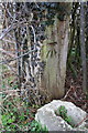 Benchmark on wooden gatepost, Sheepcroft Farm