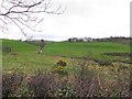 Skreen Townland