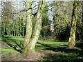 Landscaped woodland by Penn Road, Wolverhampton