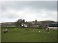 SD5288 : Sheep and new lambs at High House, Natland by Karl and Ali