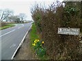 Junction of Green Lane and Selsey Road (1)