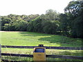 Field near Bishop Oak