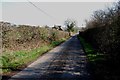 Portleys Lane near Brook Farm looking towards the A4091