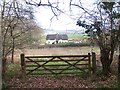 View over gate from Spearywell Wood