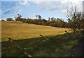 View North from Chipstead Lane