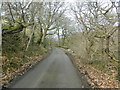 The lane to Llysnant