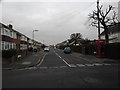 Looking from Frater Lane into Anthony Grove