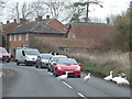 Upavon: geese cause a tailback on the A342