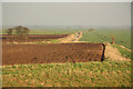 Branston Fen