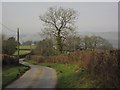 Road to Cowsen Cross