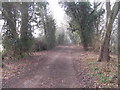 Track of disused Ashchurch to Evesham railway line looking south east