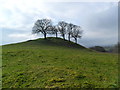 Summit behind Pen-y-foel