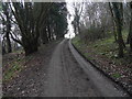 Ashtonwood House access road below Holcombe Nap