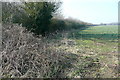 Farmland near Sheephouse Farm