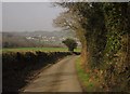SX3984 : Lane to Lifton by Derek Harper