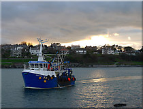 J5082 : The 'Radiance' at Bangor by Rossographer
