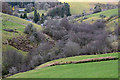 Looking down the valley of the Nant Cae-garw