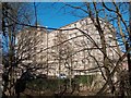 Calver Mill seen through the trees