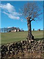 Cottages on Cliff Lane, Curbar