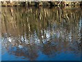 Rippling reflections in the River Derwent