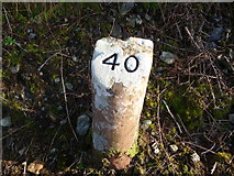 NR8948 : Milestone 40 Arran by Brian Robertson