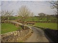 Old road at Higher New Bridge