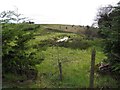 Mullaghsillogagh Townland