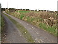 Private farm lane linking with the Ballyholland Road