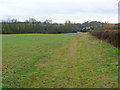 Fields near the Fosse Way