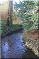 River Chelt, Sandford Park