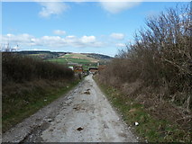 SU8716 : South Downs Way west to Hill Barn by Dave Spicer