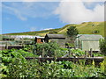 Allotments north of Chapel Street