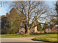 Frampton on Severn Village Green