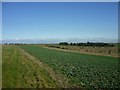 Churn Hill gallops