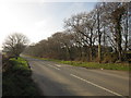 Road past Launceston Golf Course