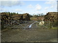 Log piles near Cromlech Lodge