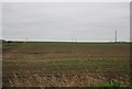 Farmland on the edge of Cliffe