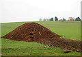 Muck pile at Wimpstone Fields Farm