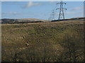NT0662 : Pylons heading to Morton Hill by M J Richardson