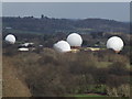 Golf Balls in the Landscape