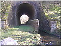 Path and stream go under the railway at Swinden Gill