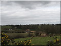 The Clanrye Valley north of Glenny